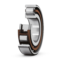 Подшипник N313 ECP в интернет-магазине Podshipnikpro.store